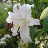 Фото профиля yaomama