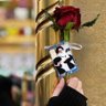 ✨ أمً مَقَتِــډِى ✨ profil fotoğrafı