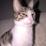 mengü profil fotoğrafı