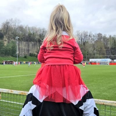 TheWelshDragon 🏴󠁧󠁢󠁷󠁬󠁳󠁿🐉's profile picture