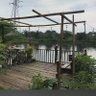 kakaroto profil fotoğrafı