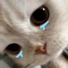 Sugar's profile picture
