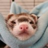 Akemi Min's profile picture