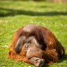 Gary Somers profil fotoğrafı