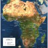 United States of Africa 的头像