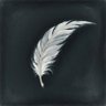 ans's profile picture