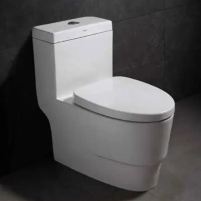 ColorfulToilet's profile picture