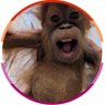 emmeยนโท's profile picture