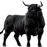 Black Bull profil fotoğrafı