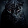 ابو حسن (حامد الجبوري)'s profile picture