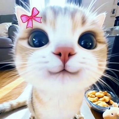 GdhW368874's profile picture
