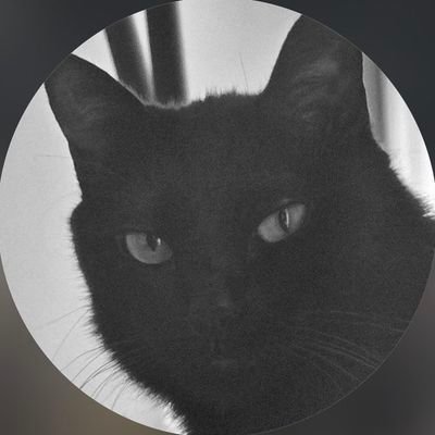 MIN_YOONGI7SUGA's profile picture