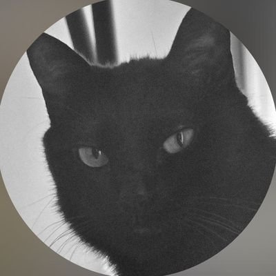 didyoongicome's profile picture