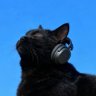 Catriel Daria profil fotoğrafı