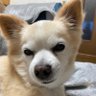 癖刺さり🐶︎︎☁⌬ ⌬ ⌬ profil fotoğrafı