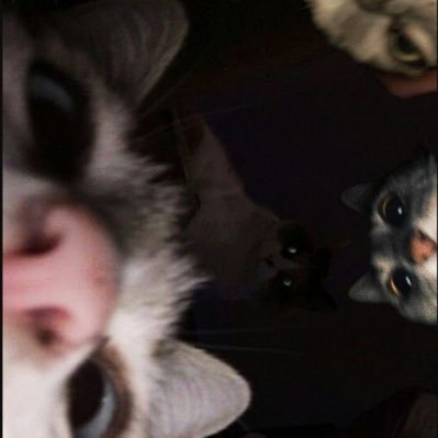 ning ning's profile picture