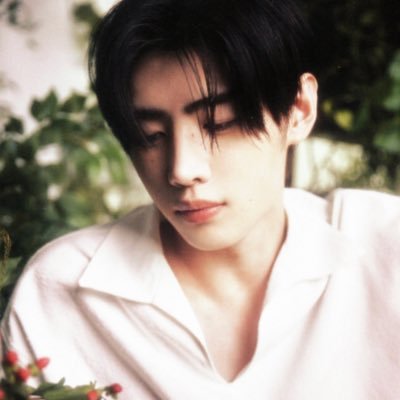 phylocally's profile picture