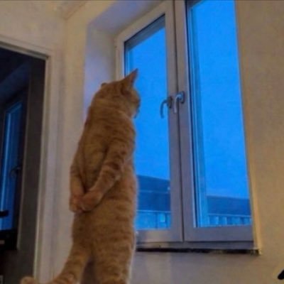 일오's profile picture