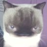 hayhellohi profil fotoğrafı