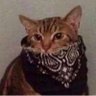 ody... 🏳️🌈 profil fotoğrafı