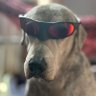 Profilbild von bw