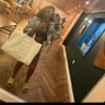 Empress 👑 Shan 🇯🇲's profile picture