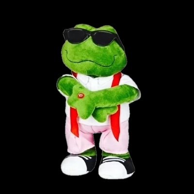 Mr. Gangnam-Frog 🐸's profile picture
