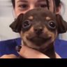 unrulynudist's profile picture