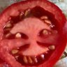 Profilbild von stupid fool
