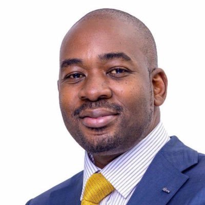 nelson chamisa's profile picture