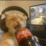Silo256's profile picture