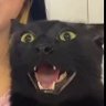 Spitogatos👾's profile picture