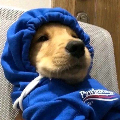 Cliplug's profile picture