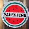 Profilbild von From River To Sea 🇵🇸 𓂆