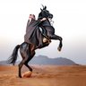 محمد الزعبي's profile picture