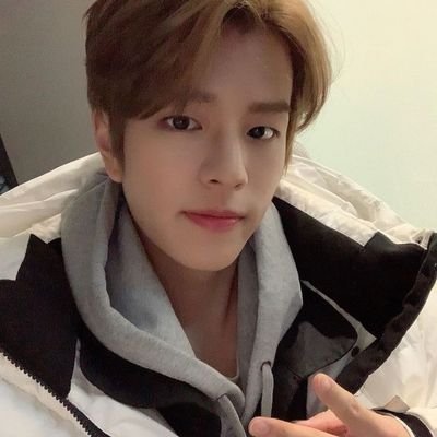 ksmvault's profile picture