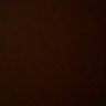 z's profile picture