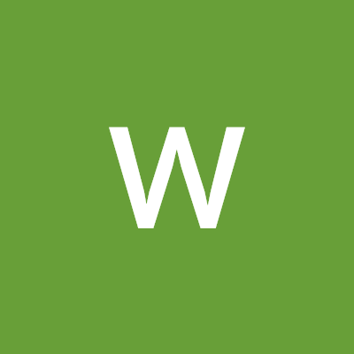 WAlsharabi61484's profile picture