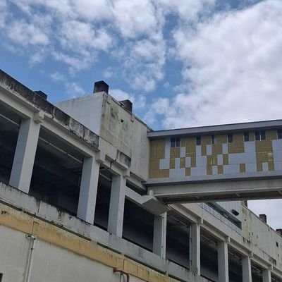 ジュール🧪💛's profile picture