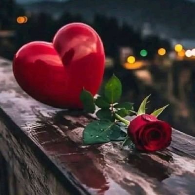 ناهد's profile picture