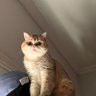 المزون profil fotoğrafı