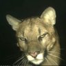 Just Posts's profile picture