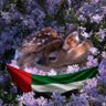 AlReem97's profile picture