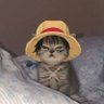 Profilbild von dwiher