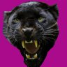 ENG's profile picture