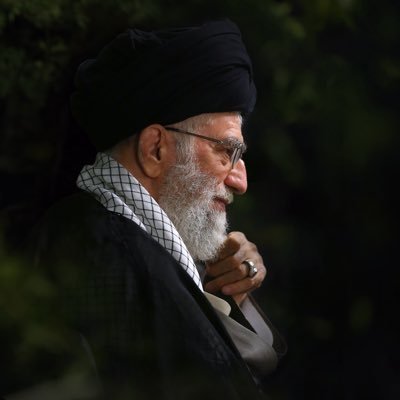 Tahran_313's profile picture