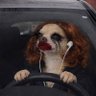 @cansada&arrasada's profile picture
