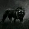 حليم.dz's profile picture