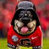 Profilbild von Darth Dawg
