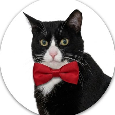 Balder's profile picture
